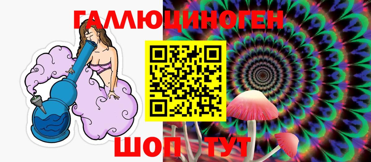 Галлюциногенные грибы Psilocybe Красноперекопск